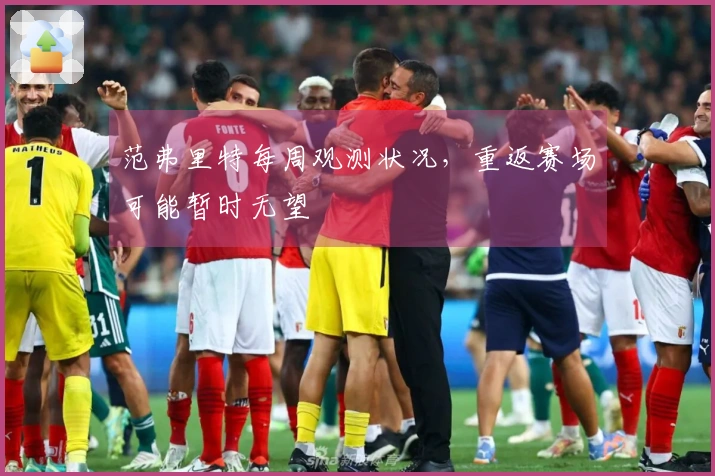 范弗里特每周观测状况，重返赛场可能暂时无望